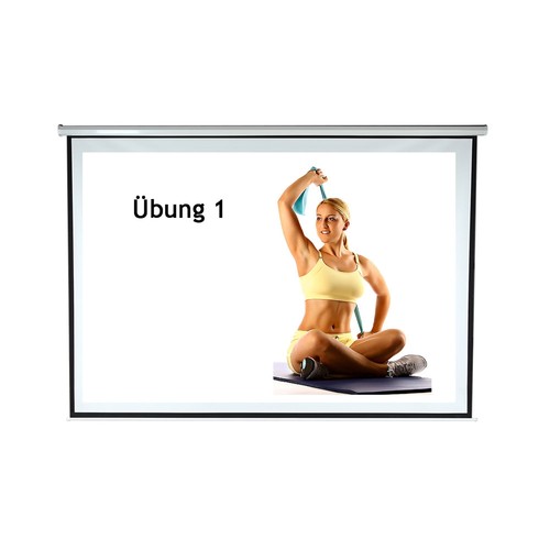 Beamerleinwand 244x182cm motor - beamerleinwand,